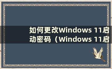 如何更改Windows 11启动密码（Windows 11启动界面）